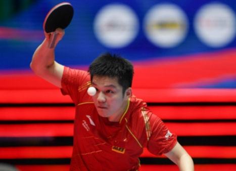 这条戏谑背 这条戏谑背