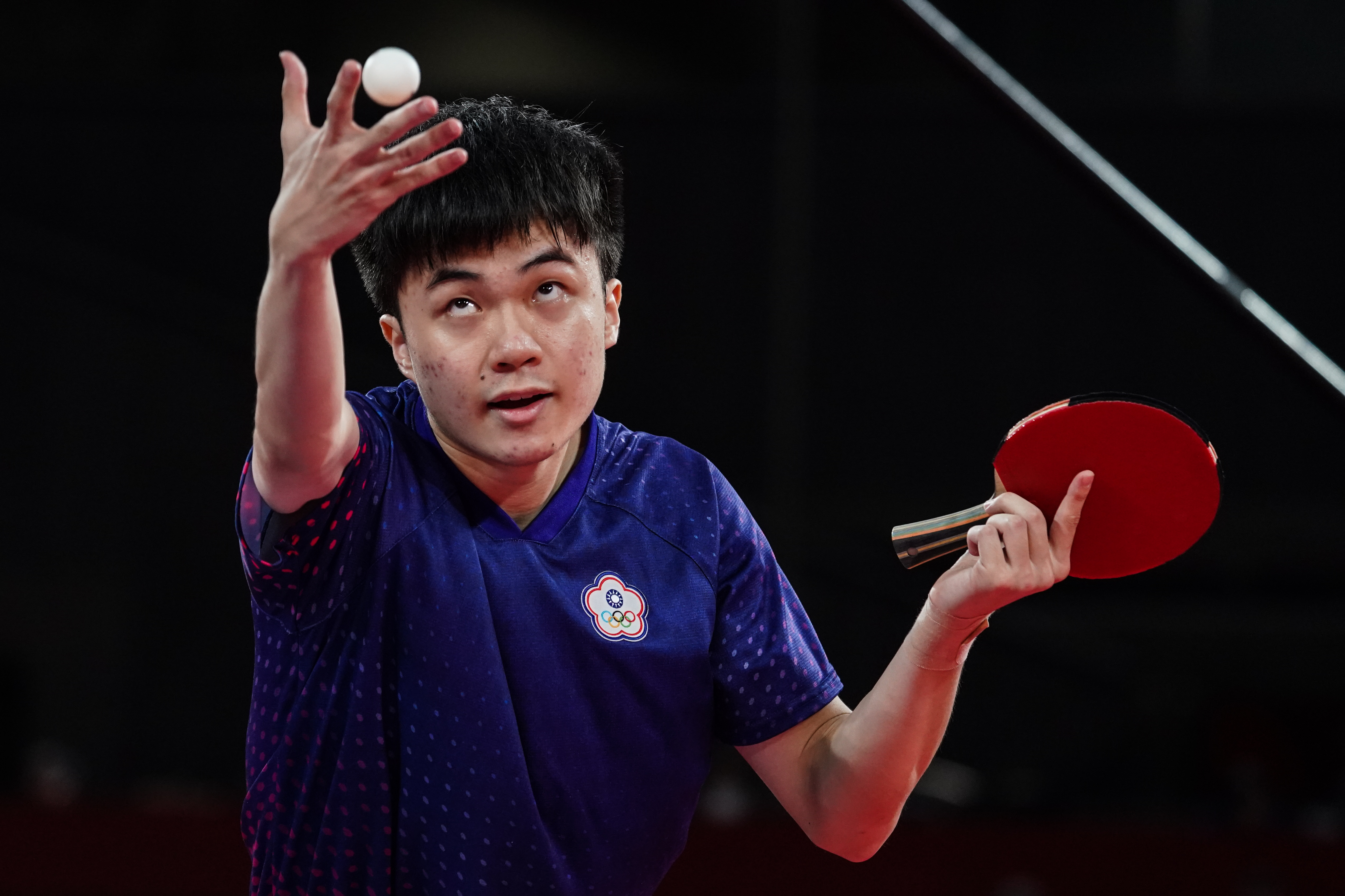 适度引入可 适度引入可